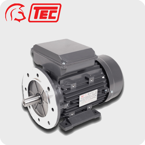 IE2 230V Single Phase TEC Motors