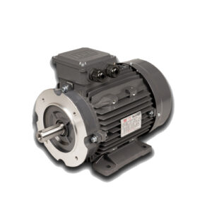TECA2, 3 Phase, 0.12kW, 2 pole, IE2 High Efficiency Motor