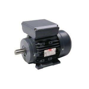 TEC TPC, 0.12kW, 240V 1 Phase 2 Pole Perm Cap Motor
