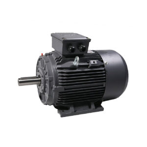 TECA3, 3 Phase, 0.75kW, 2 pole, IE3 Premium Efficiency Motor