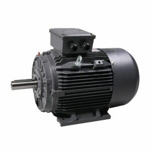 T4C, 3 Phase, 110kW, 2 pole, IE4 Super Premium Efficiency Motor