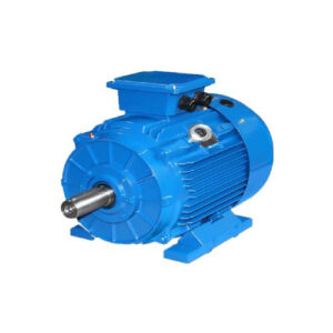 TEC Spartan, 3 Phase, 30kW, 4 pole, 200L Frame, IE3 Premium WIMES Compliant Motor